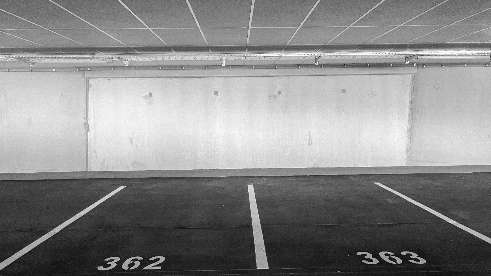 PHOTO-2024-05-12-11-37-45-1-2