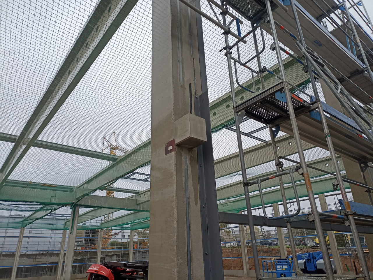 Groß (IMG_20231107_104526)